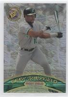 Gary Sheffield