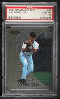 Cal Ripken Jr. [PSA 10 GEM MT]