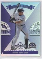 Double Team - Andres Galarraga, Dante Bichette