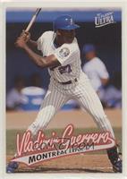 Vladimir Guerrero