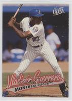 Vladimir Guerrero [Poor to Fair]