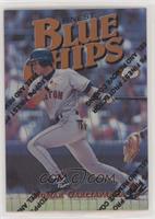 Common - Bronze - Nomar Garciaparra