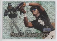 Mike Cameron #/500