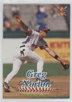 Greg Norton