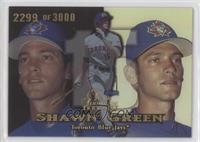 Shawn Green #/3,000