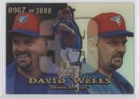 David Wells #/3,000