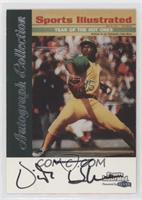 Vida Blue