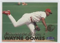 Wayne Gomes