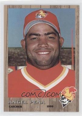 1999 Grandstand Albuquerque Dukes - [Base] #_ANPE - Angel Pena