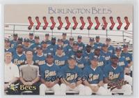 Burlington Bees Team
