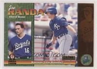 Joe Randa [EX to NM] #/99