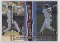 Cal Ripken Jr., Tony Gwynn [EX to NM]