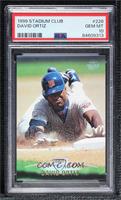 David Ortiz [PSA 10 GEM MT]