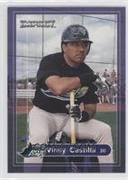 Vinny Castilla