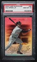 Cal Ripken Jr. [PSA 10 GEM MT]