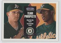 Team Prospects - Chad Harville, Luis Vizcaino