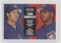 Team Prospects - Casey Blake, Vernon Wells
