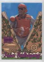 Ivan Rodriguez #/299