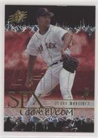 Pedro Martinez [EX to NM]