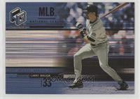 Larry Walker