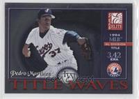 Pedro Martinez #/1,994