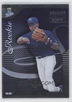 Angel Berroa #/800