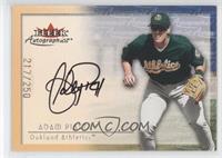 Adam Piatt #/250