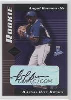 Angel Berroa #/500