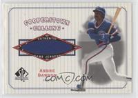 Andre Dawson