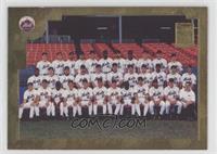 New York Mets Team #/2,001