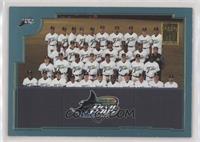 Tampa Bay Devil Rays Team [EX to NM]