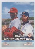 Pedro Martinez, Bob Gibson