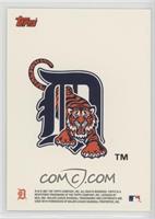 Detroit Tigers Team