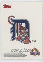 Detroit Tigers Team