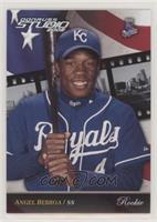 Angel Berroa [Noted] #/5