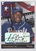 Angel Berroa #/250