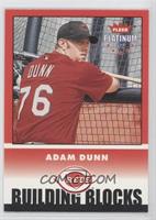 Building Blocks - Adam Dunn