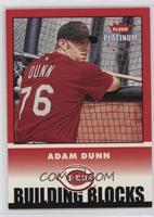 Building Blocks - Adam Dunn