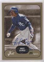 Angel Berroa #/300