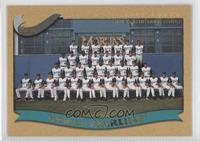 Miami Marlins (Florida Marlins) Team #/2,002