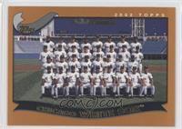 Chicago White Sox Team