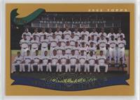 Seattle Mariners Team