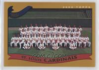 St. Louis Cardinals Team