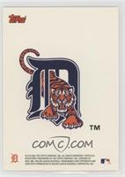 Detroit Tigers Team