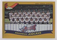 Anaheim Angels Team