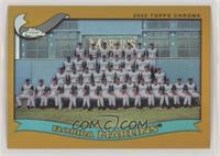 Miami Marlins (Florida Marlins) Team