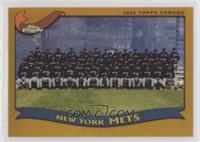 New York Mets Team