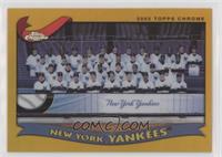 New York Yankees Team