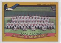 St. Louis Cardinals Team