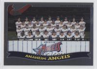 Anaheim Angels Team